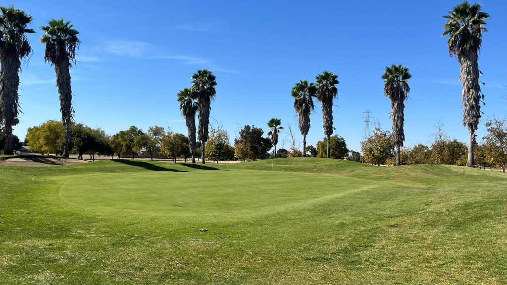 Gently contoured putting green surrounded by tall palm trees and other landscaping beneath a cloudless blue sky.