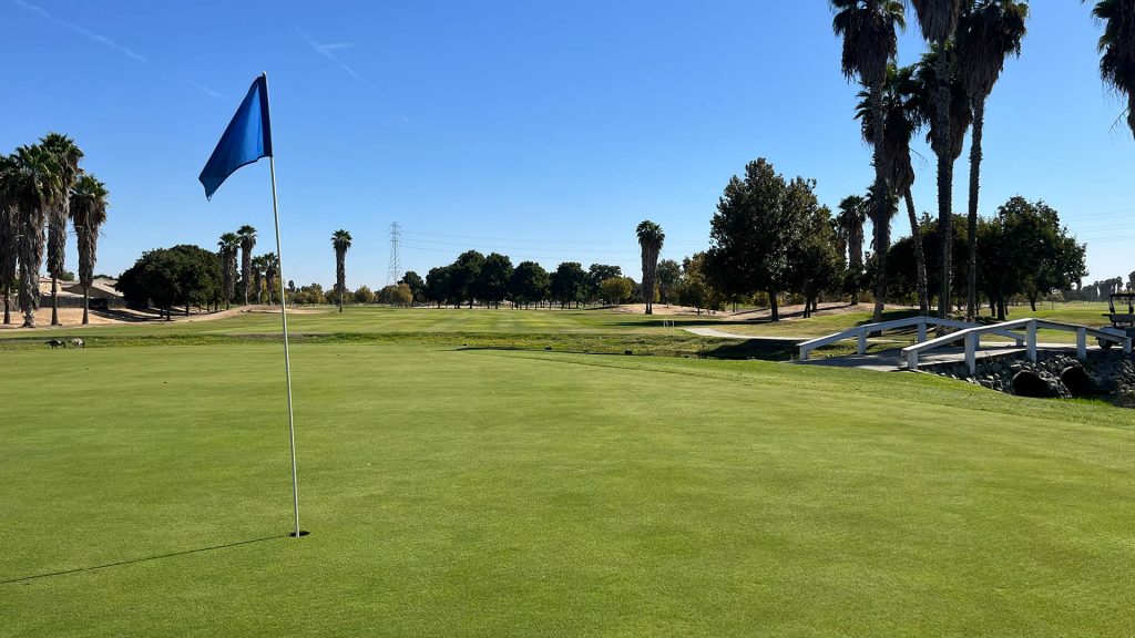 Golf green with a blue flag in the foreground and a small white bridge crossing a waterway to the right, surrounded by palms and open fairway.