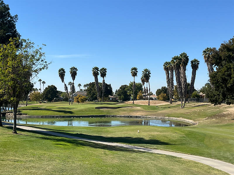Scenic golf course with a reflective pond, rolling fairways, and tall palm trees beneath a bright blue sky with scattered clouds.