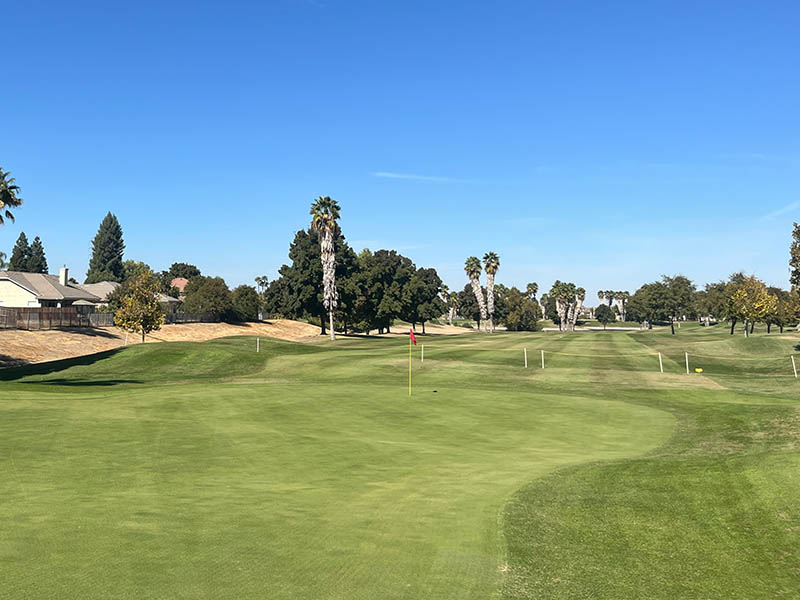 Putting green with a red flag opening onto a long fairway, bordered by mature trees, palms, and nearby homes under a clear blue sky.