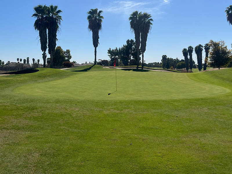 Smooth putting green with a red flag centered among rolling mounds and tall palm trees on a sunny day.